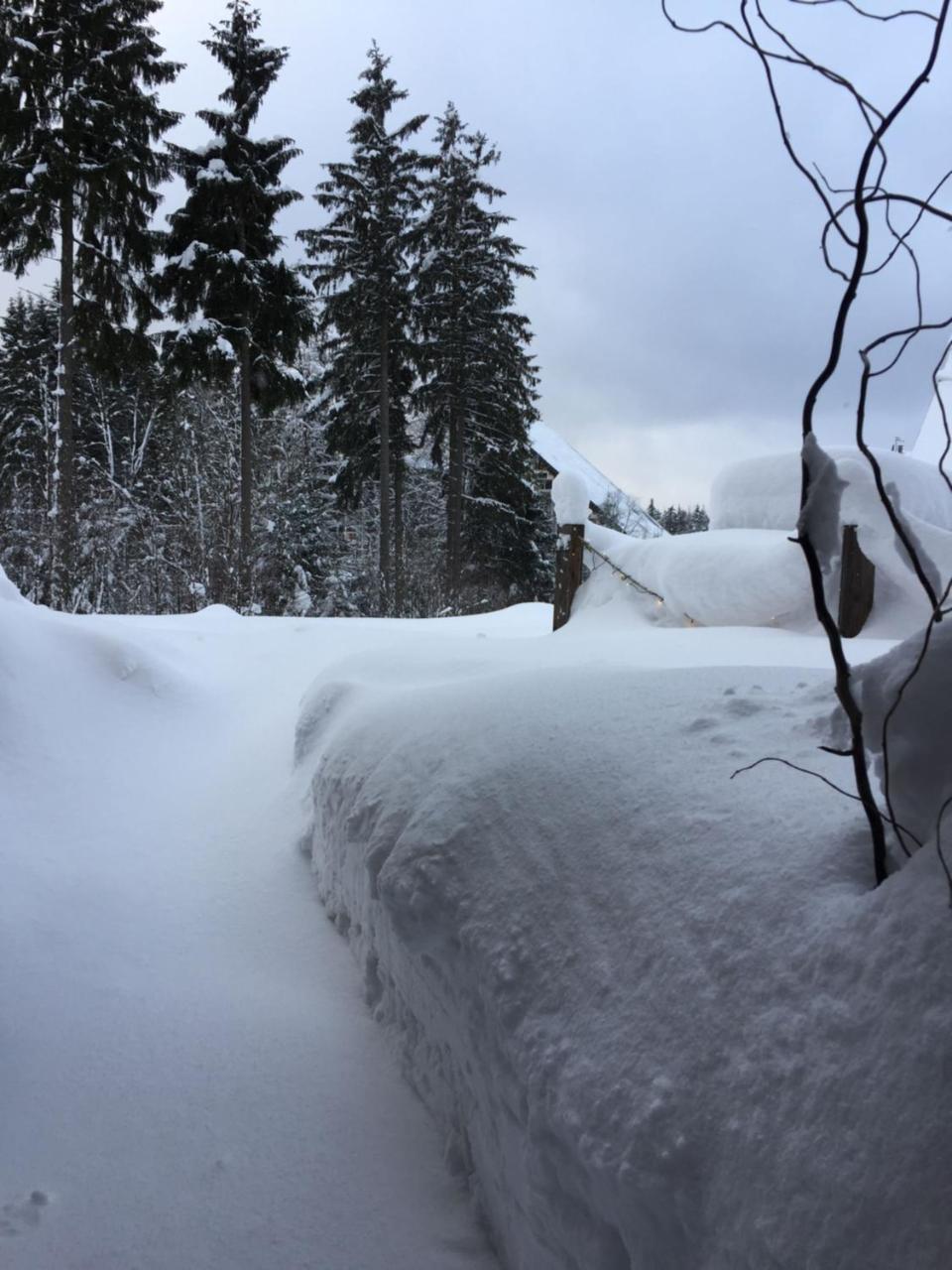 Ht Harrachov